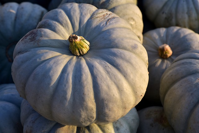 Courge Bleue De Hongrie Gout